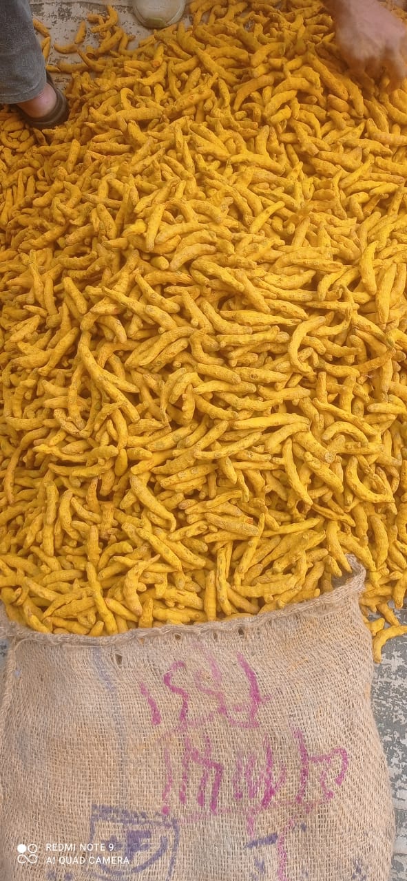 Turmeric powder